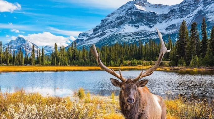 Các câu hỏi thường gặp đến Canada