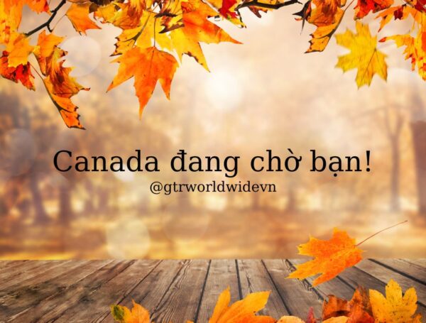 Tin định cư Canada tháng 11 2022