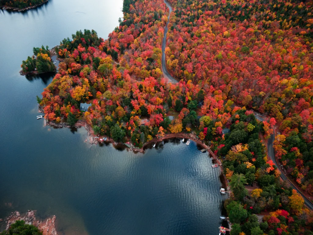 canada visa c11