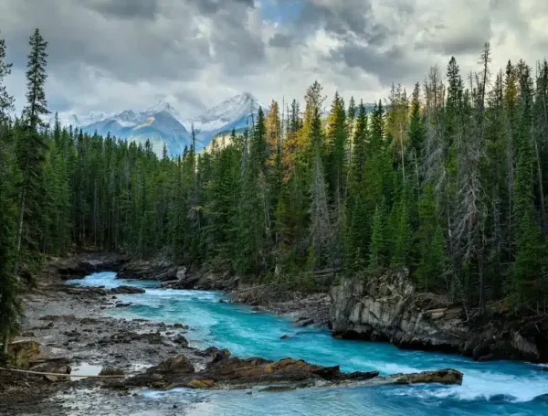 de cu tinh bang Canada PNP