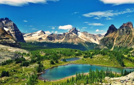 Định cư Canada theo diện tay nghề