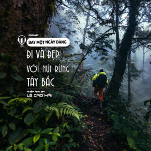 Bức tranh Tây Bắc rực rỡ