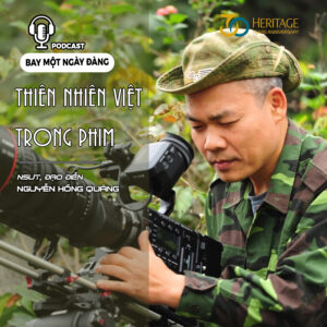 Bước vào thế giới “Discovery Việt”