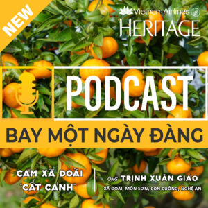 Cam xã Đoài “cất cánh”