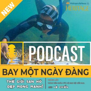 Thế giới san hô đẹp mong manh