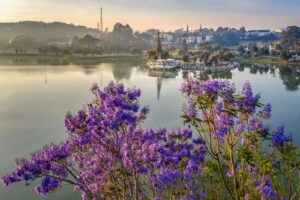 Những chân trời Việt – Cảm hứng từ con người